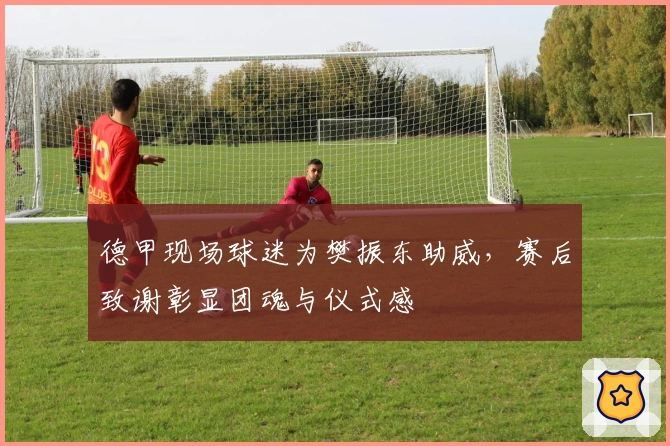 德甲现场球迷为樊振东助威，赛后致谢彰显团魂与仪式感