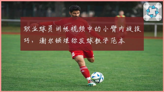 职业球员训练视频中的小臂内旋技巧，谢尔顿堪称发球教学范本