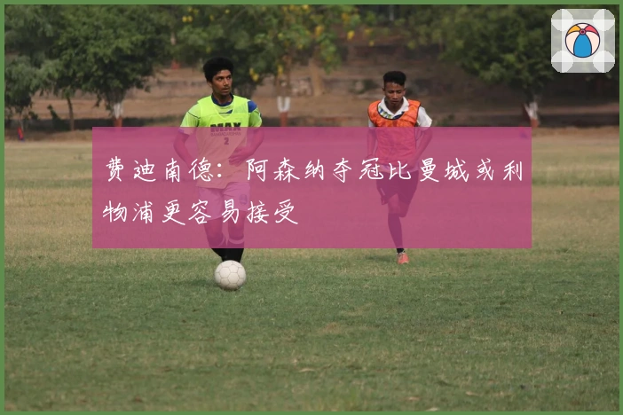 费迪南德：阿森纳夺冠比曼城或利物浦更容易接受