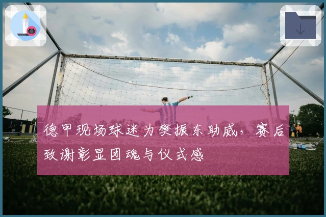 德甲现场球迷为樊振东助威，赛后致谢彰显团魂与仪式感